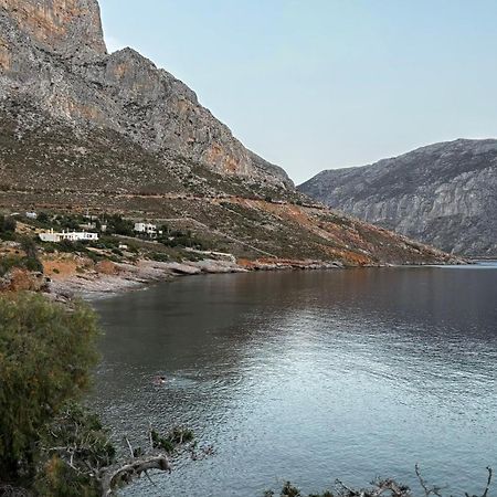 The Traditional House-Skalia,Kalymnos Exteriör bild